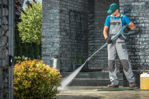 Boat and Dock Cleaning in Bagley, MN
