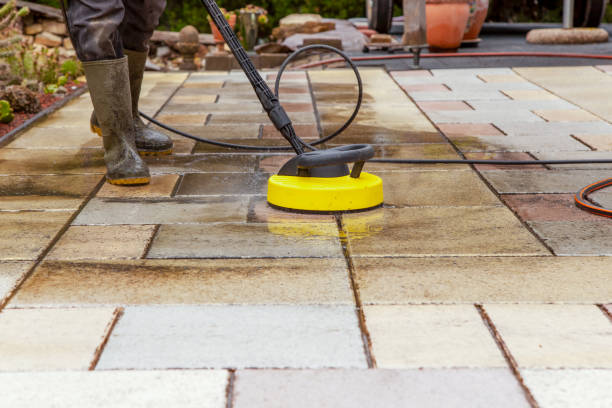 Best Sidewalk and Walkway Cleaning  in Bagley, MN